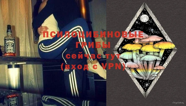 ПСИЛОЦИБИНОВЫЕ ГРИБЫ Няндома