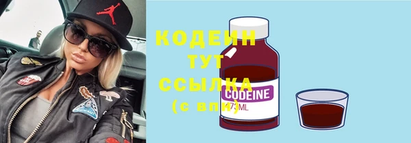 мдпв Осташков