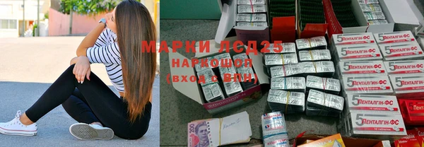 ПСИЛОЦИБИНОВЫЕ ГРИБЫ Няндома